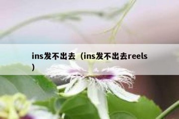 ins发不出去（ins发不出去reels）