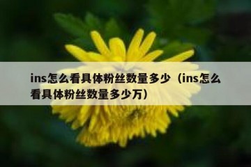 ins怎么看具体粉丝数量多少（ins怎么看具体粉丝数量多少万）