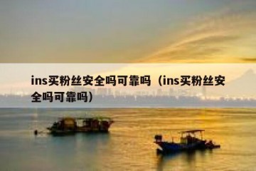 ins买粉丝安全吗可靠吗（ins买粉丝安全吗可靠吗）