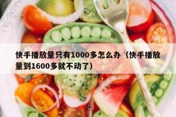快手播放量只有1000多怎么办（快手播放量到1600多就不动了）