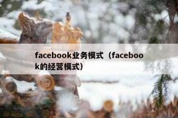 facebook业务模式（facebook的经营模式）