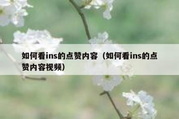 如何看ins的点赞内容（如何看ins的点赞内容视频）