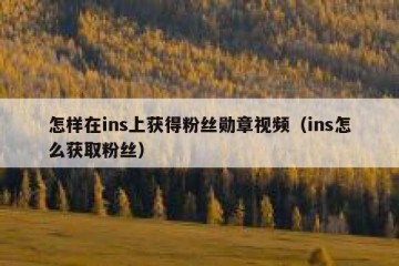 怎样在ins上获得粉丝勋章视频（ins怎么获取粉丝）