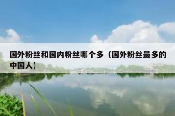 国外粉丝和国内粉丝哪个多（国外粉丝最多的中国人）