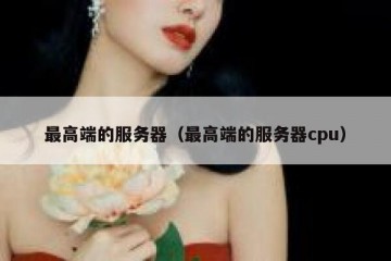 最高端的服务器（最高端的服务器cpu）