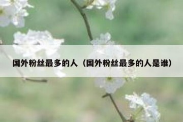 国外粉丝最多的人（国外粉丝最多的人是谁）