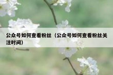 公众号如何查看粉丝（公众号如何查看粉丝关注时间）