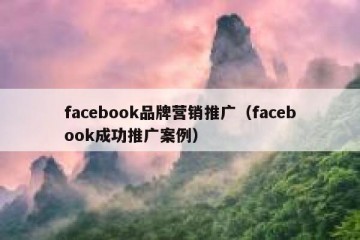facebook品牌营销推广（facebook成功推广案例）