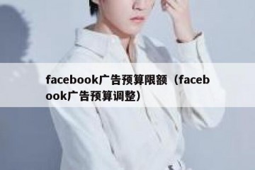 facebook广告预算限额（facebook广告预算调整）