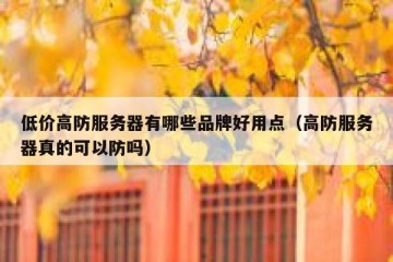 低价高防服务器有哪些品牌好用点（高防服务器真的可以防吗）