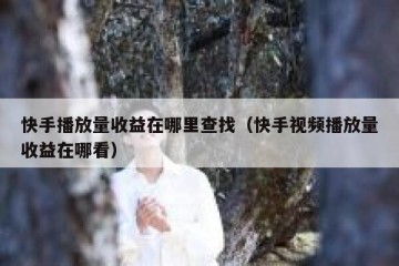 快手播放量收益在哪里查找（快手视频播放量收益在哪看）