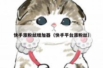 快手涨粉丝增加器（快手平台涨粉丝）