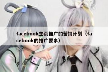 facebook主页推广的营销计划（facebook的推广要素）