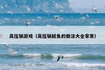 高压锅游戏（高压锅鱿鱼的做法大全家常）