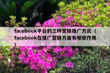 facebook平台的三种营销推广方式（facebook在推广营销方面有哪些作用）