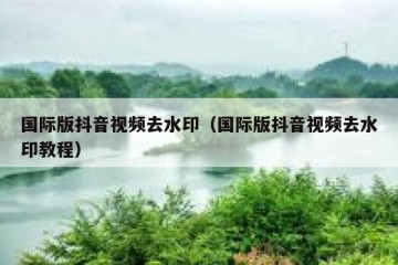国际版抖音视频去水印（国际版抖音视频去水印教程）
