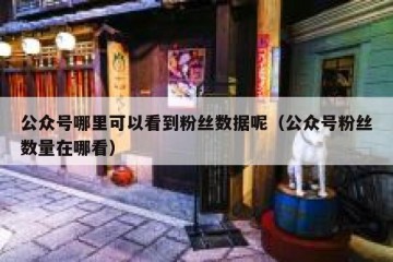 公众号哪里可以看到粉丝数据呢（公众号粉丝数量在哪看）