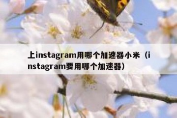 上instagram用哪个加速器小米（instagram要用哪个加速器）