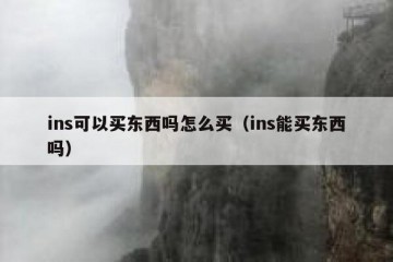 ins可以买东西吗怎么买（ins能买东西吗）