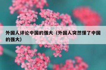 外国人评论中国的强大（外国人突然懂了中国的强大）