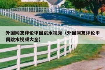 外国网友评论中国跳水视频（外国网友评论中国跳水视频大全）