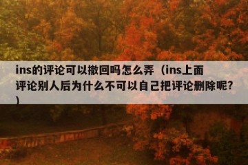 ins的评论可以撤回吗怎么弄（ins上面评论别人后为什么不可以自己把评论删除呢?）