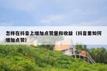 怎样在抖音上增加点赞量和收益（抖音里如何增加点赞）