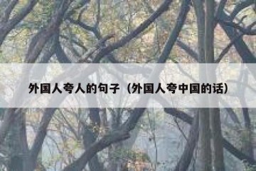 外国人夸人的句子（外国人夸中国的话）