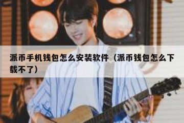 派币手机钱包怎么安装软件（派币钱包怎么下载不了）