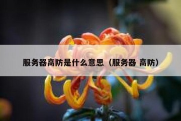 服务器高防是什么意思（服务器 高防）