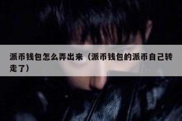 派币钱包怎么弄出来（派币钱包的派币自己转走了）