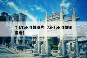 TikTok收益图片（tiktok收益哪里看）