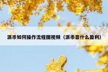 派币如何操作流程图视频（派币靠什么盈利）
