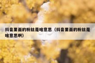 抖音里面的粉丝是啥意思（抖音里面的粉丝是啥意思啊）