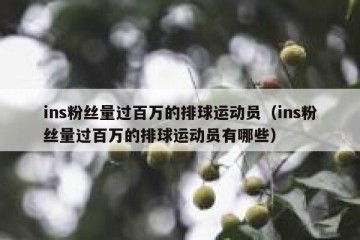 ins粉丝量过百万的排球运动员（ins粉丝量过百万的排球运动员有哪些）