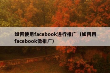 如何使用facebook进行推广（如何用facebook做推广）