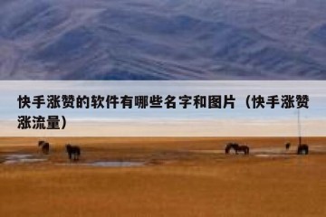 快手涨赞的软件有哪些名字和图片（快手涨赞涨流量）