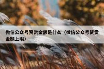 微信公众号赞赏金额是什么（微信公众号赞赏金额上限）