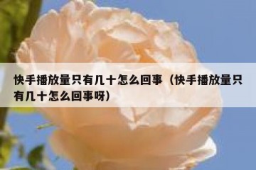 快手播放量只有几十怎么回事（快手播放量只有几十怎么回事呀）