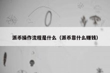 派币操作流程是什么（派币靠什么赚钱）