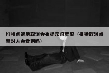 推特点赞后取消会有提示吗苹果（推特取消点赞对方会看到吗）