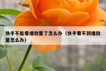 快手不能看播放量了怎么办（快手看不到播放量怎么办）
