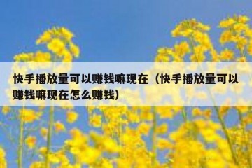 快手播放量可以赚钱嘛现在（快手播放量可以赚钱嘛现在怎么赚钱）