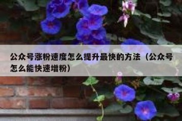 公众号涨粉速度怎么提升最快的方法（公众号怎么能快速增粉）