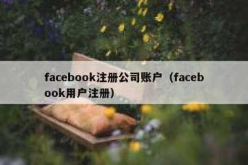 facebook注册公司账户（facebook用户注册）