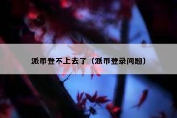 派币登不上去了（派币登录问题）