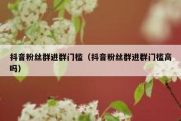 抖音粉丝群进群门槛（抖音粉丝群进群门槛高吗）