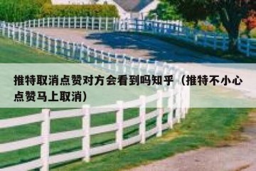 推特取消点赞对方会看到吗知乎（推特不小心点赞马上取消）