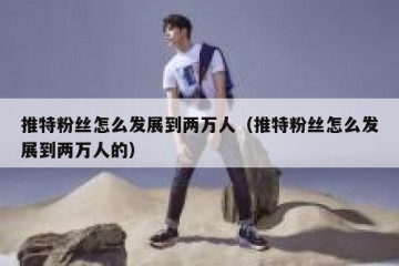 推特粉丝怎么发展到两万人（推特粉丝怎么发展到两万人的）