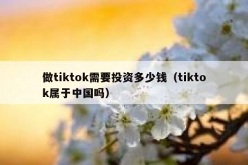 做tiktok需要投资多少钱（tiktok属于中国吗）
